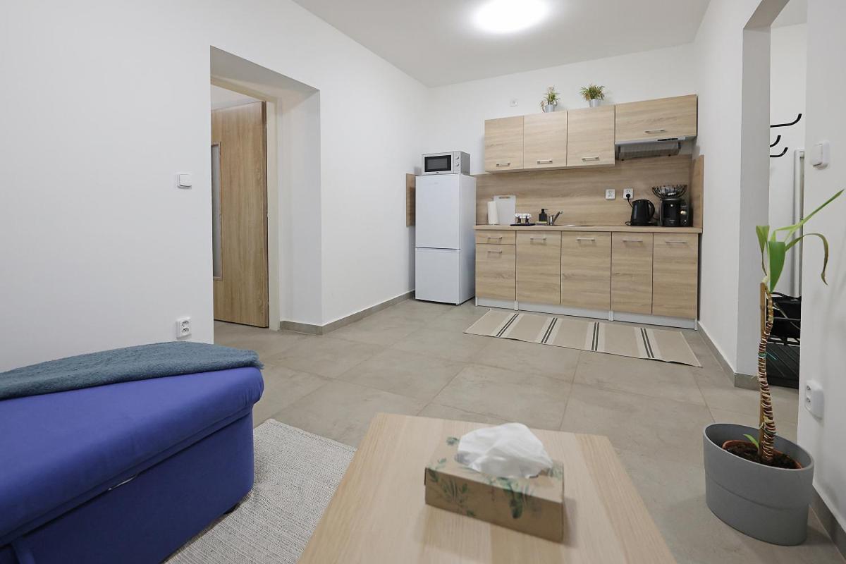 Fara No71 Apart 3 Libice nad Cidlinou Dış mekan fotoğraf
