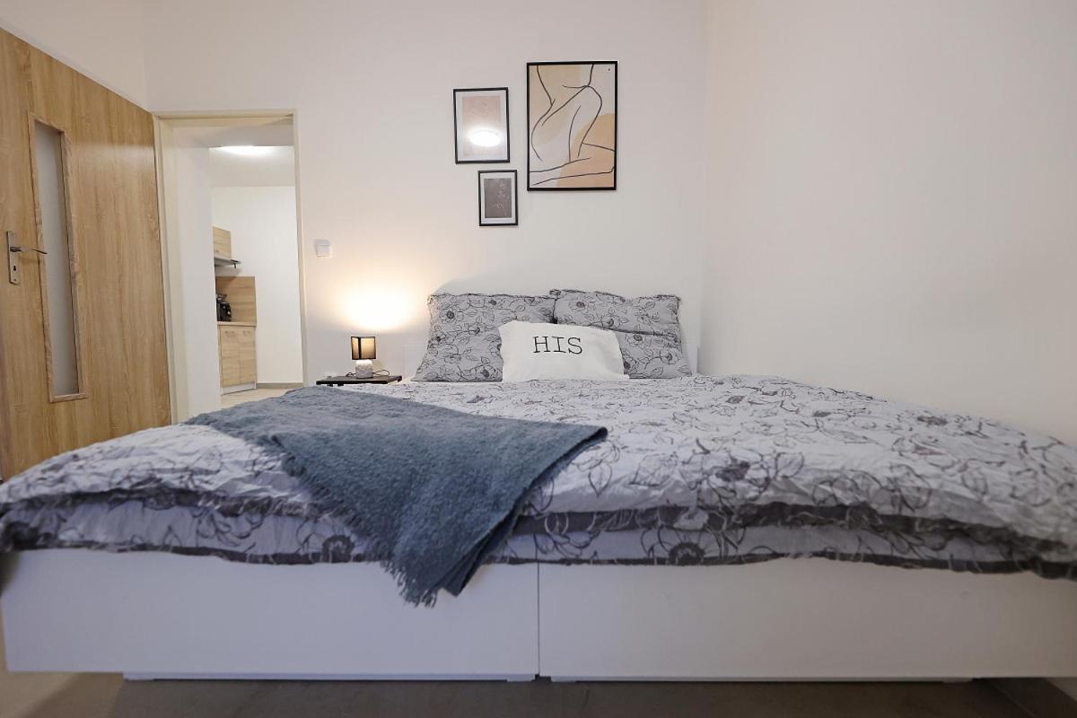 Fara No71 Apart 3 Libice nad Cidlinou Dış mekan fotoğraf